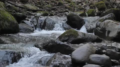 River Flow - Calm Water Sound