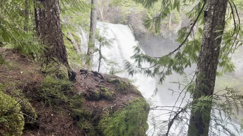 Hiking the Wilder Side of McKenzie River – Sahalie Falls & Koosah Falls Loop – 4K