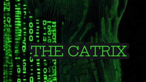 Welcome to The Catrix #cat #cute #kitten #kitty #matrix #scifi