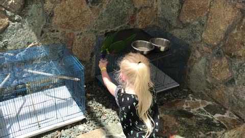 Harper enjoyed feeding the birds