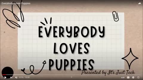 Everybody Loves Puppies - sad update with a story twist