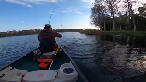 Catching a few unfrozen bass at Taylor lake in Largo Florida