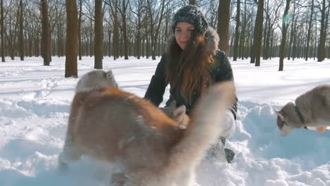 Young woman playing with siberian husky dogs in snow forest