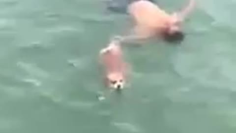 Dog saves owner from drowning