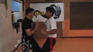 The Power of the Martial Arts - Kung Fu Self-Defense with the Master Gomes Neto in Nitro