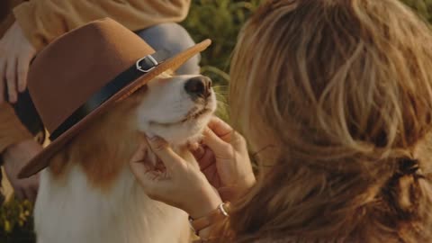 Portrait of small cute dog, blonde owner girl putting on brown hat or cap on animal head