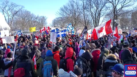 Manifestation - Freedom Convoy - Convoi de la liberté - Québec, Canada - Images EXCLUSIVES.