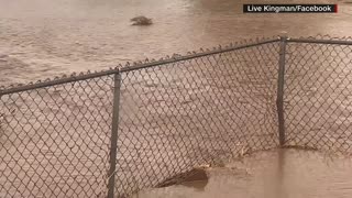 AZ: flash flooding in Kingman