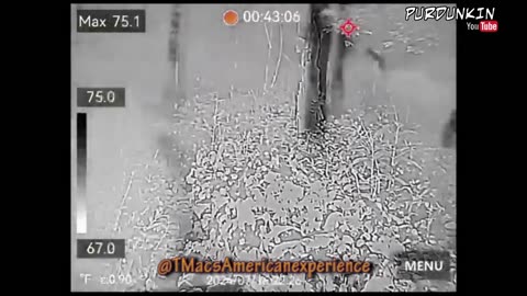 Ohio Cryptid Caught On HIKMICRO Thermal Camera Pocket2 #ir #cryptids #Ohio #HIKMICRO