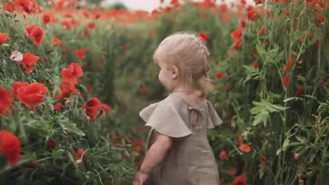 Girl Walking Between Red Poppy Flower،,