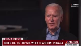 Biden Freezes After Accidentally Admitting Truth About Ceasefire With Hamas