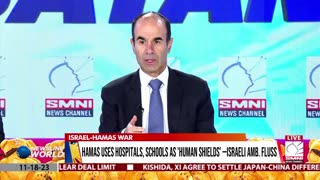 Hamas uses hospitals, schools as 'human shields' —Israeli Amb. Fluss