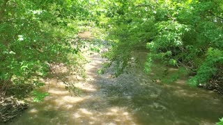 Rouge River from a Drone and a Bridge