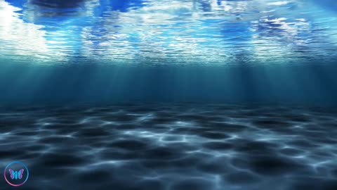 Relaxation Station - 10 Hours of Underwater Ocean Sounds l Sounds for Focus and Concentration