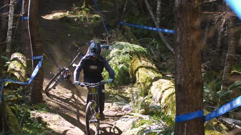 Mountain Biker Tripped Up By Tree Branch