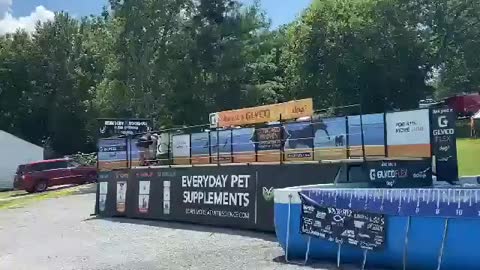 Ned the Kelpie competing in a big air competition