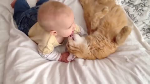 Cats Meeting Babies for the FIRST Time Compilation new 2021