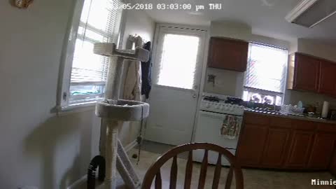 Landlord Caught Entering Tenants Apartment