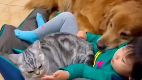 Cat and Dog sleeping with baby | Cat Dog funny video 2021