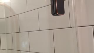 Soft close shower door installed in a bathroom remodel