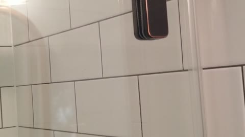 Soft close shower door installed in a bathroom remodel