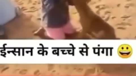 Insan ke bachche se panga