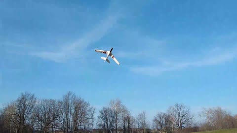 Flying Planes at the Park