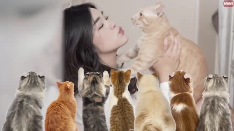 10 Scientific Ways on How to Get a Cat to Like You