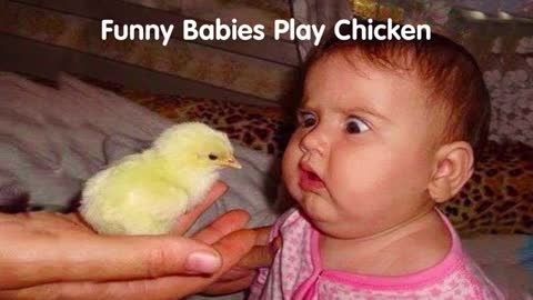 funny baby reaction when playing with chicken