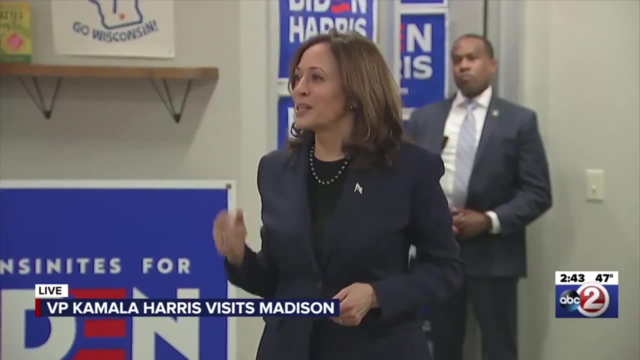 Kamala harris tries really hard to explain why democracy is important
