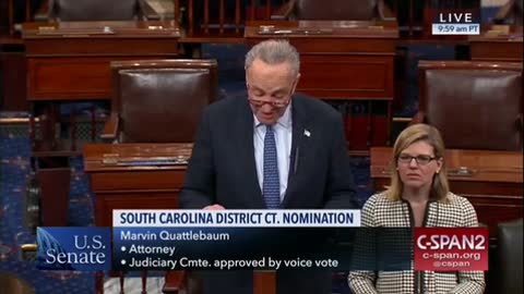 Chuck Schumer voted against Trump's judicial nominee because he is white
