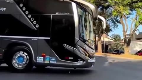 Bus lover