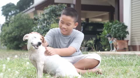 Boy Playing With His Dog Sitting On The Grass