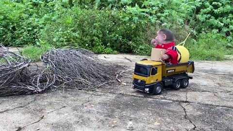 Monkey take fruit by car funny video..