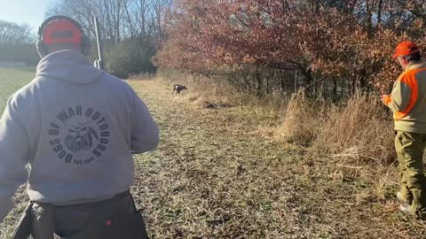 Veteran & Law Enforcement Pheasant & Quail Hunt