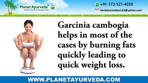 Points to remember while taking Garcinia Cambogia