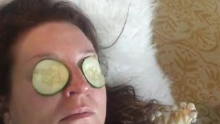 Dog eats cucumbers off face