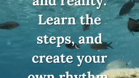 Dreams vs Reality: Finding Your Rhythm