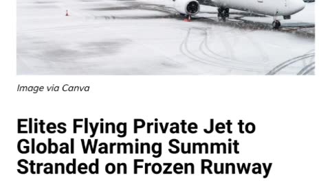 Private Jet Freeze Shames Global Summit Elites