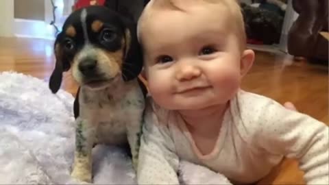 Funny baby with puppy adorable