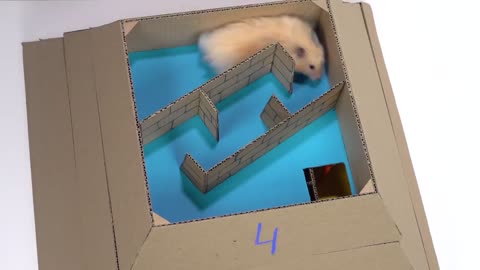 My Funny Pet Hamster in Pyramid Maze
