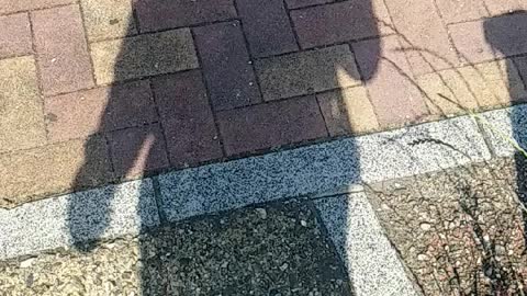 The Walking Shadow