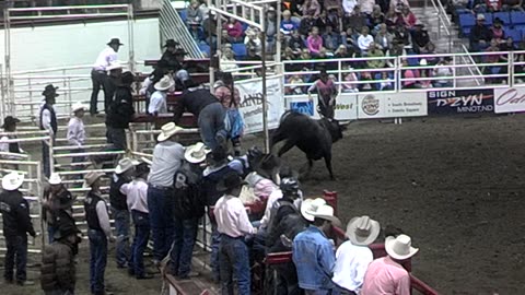 Rodeo Steer riding close call wow that would hurt