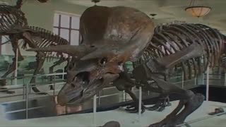 Evolution and Dinosaurs Debunked - Eric Dubay