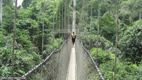 The 30 Most Dangerous Bridge In The World (Full HD Video)