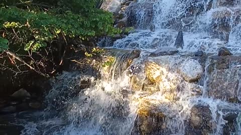 Beautiful waterfall in the garden