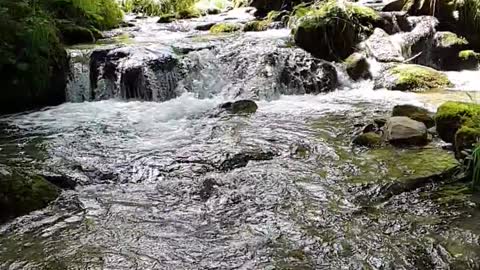 Slow Motion Footage Of Water Pouring Down On Rocky River In The Woods