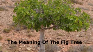 Robby Dickerson | The Meaning Of The Fig Tree