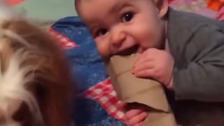 Cute baby loves to play with dogs