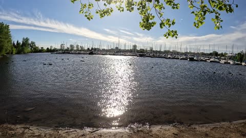 Sailboat Club In Ottawa